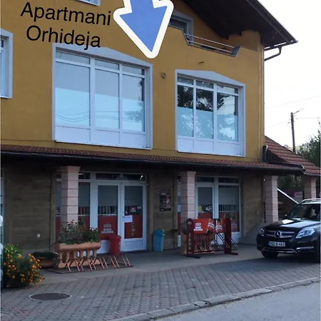 Orhideja *